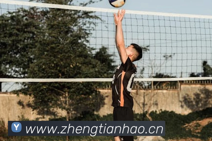 开云官方手机登录服务体系